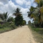 listing image thumbnail with ID 113545