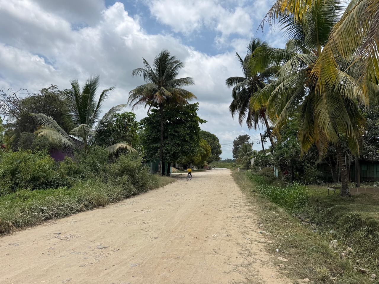 listing image with ID 113545