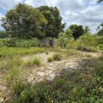 listing image thumbnail with ID 113547
