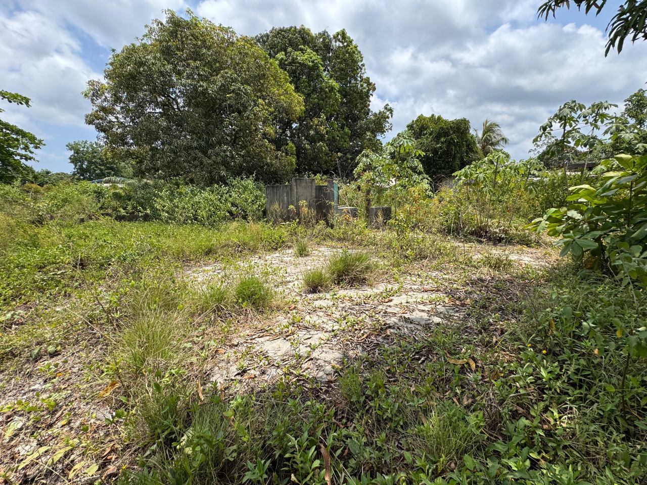 listing image with ID 113547