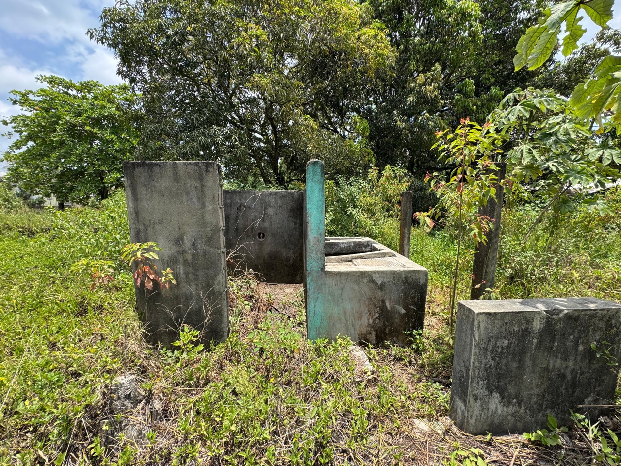 listing image with ID 113548