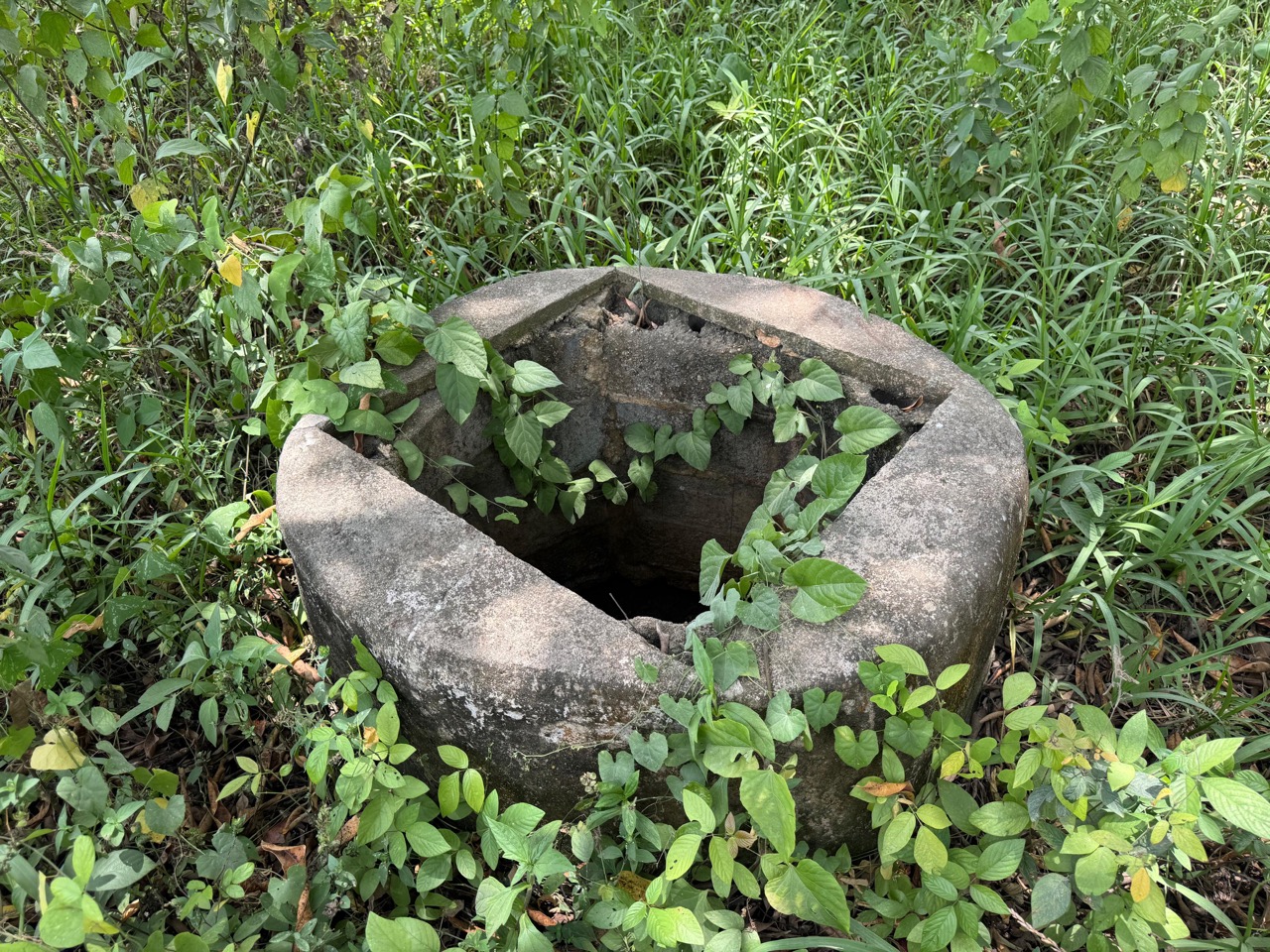 listing image with ID 113546