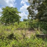 listing image thumbnail with ID 113549