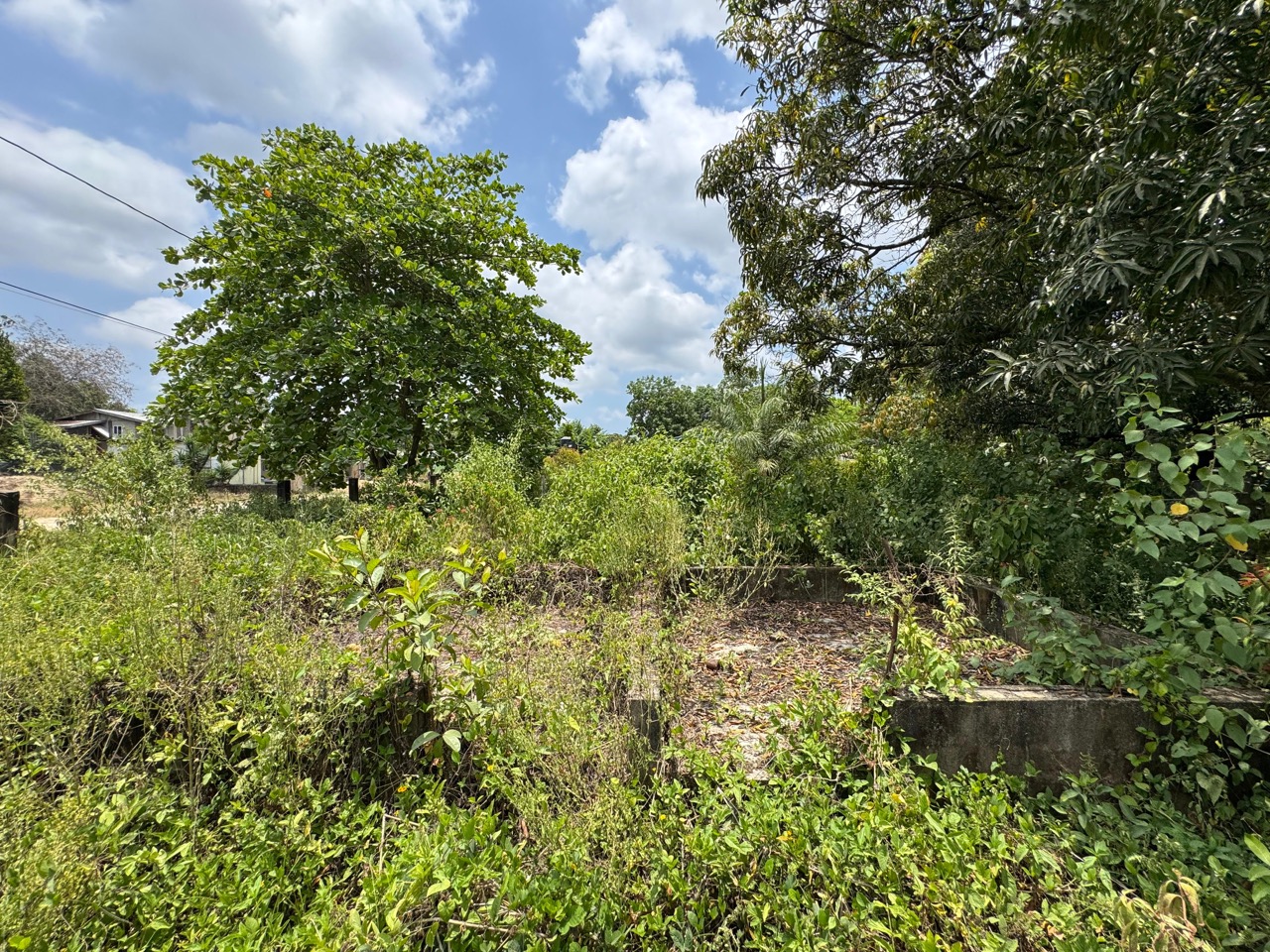 listing image with ID 113549