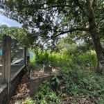 listing image thumbnail with ID 113551