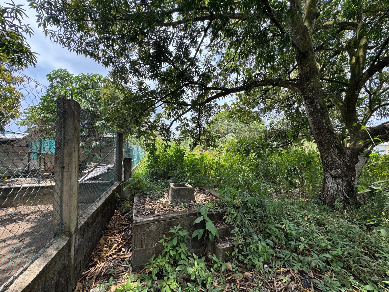 listing image with ID 113551