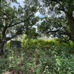 listing image thumbnail with ID 113553