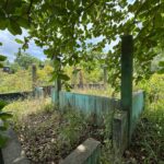 listing image thumbnail with ID 113557