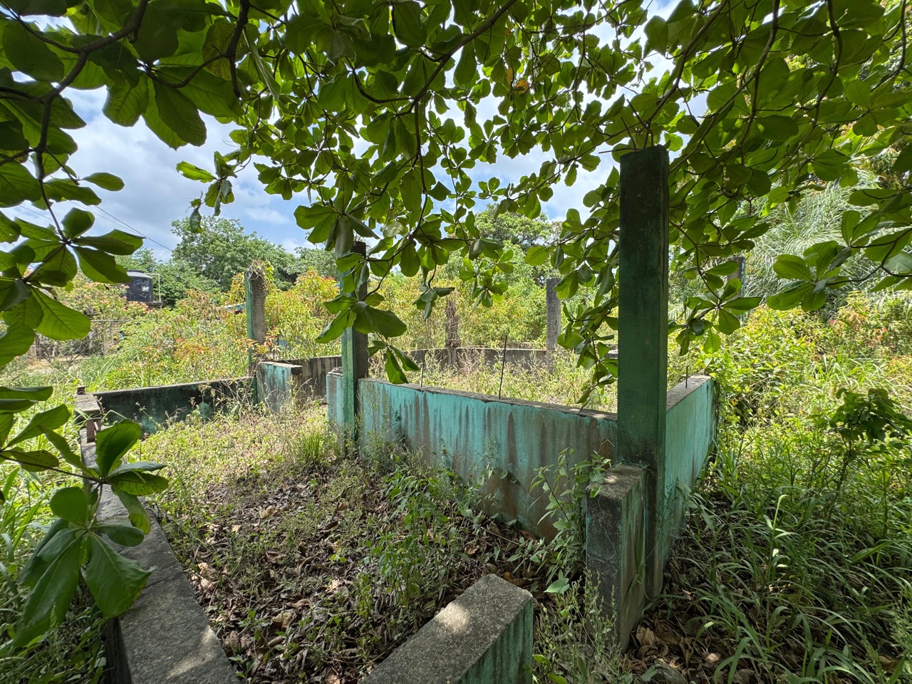 listing image with ID 113557