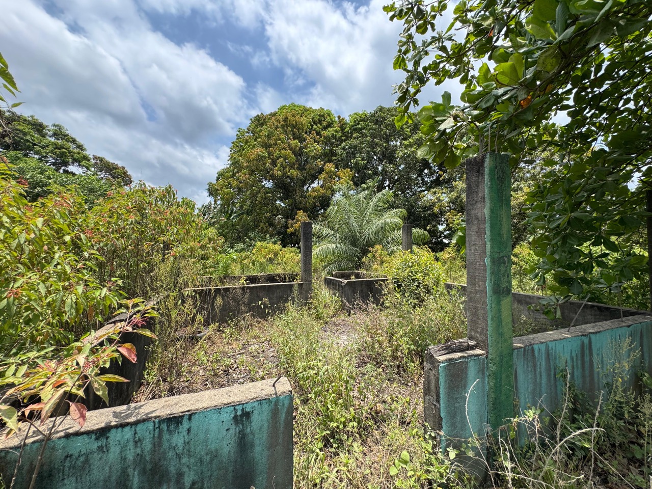 listing image with ID 113555