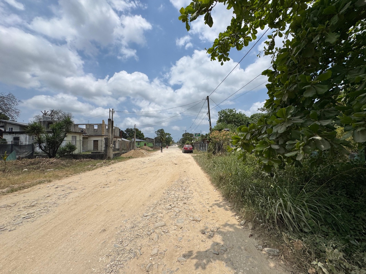 listing image with ID 113556