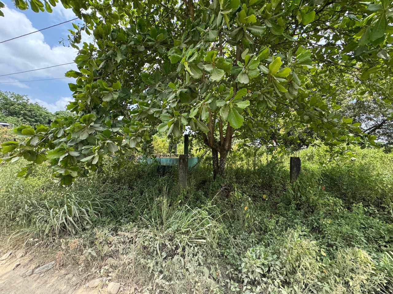 listing image with ID 113554