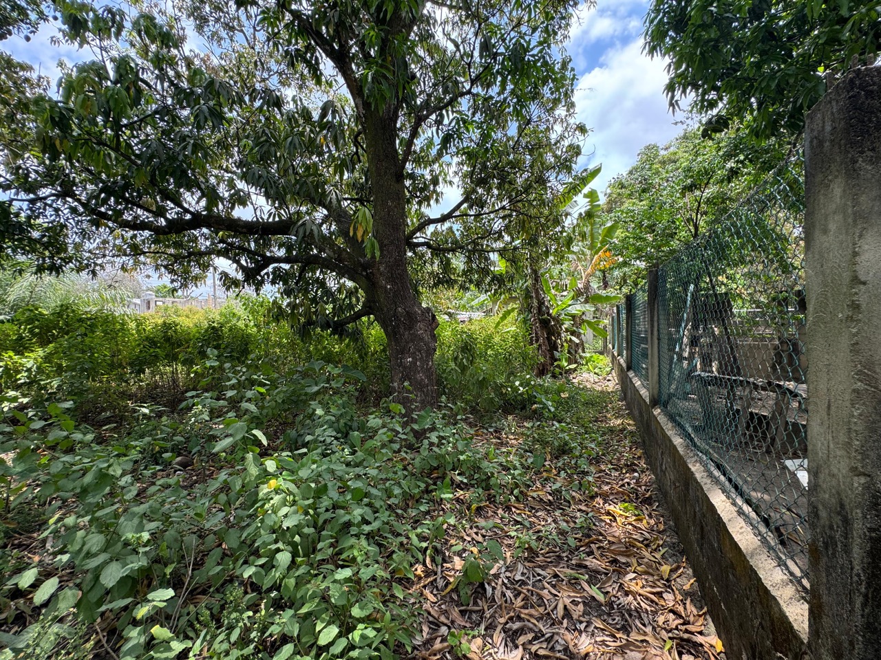 listing image with ID 113552