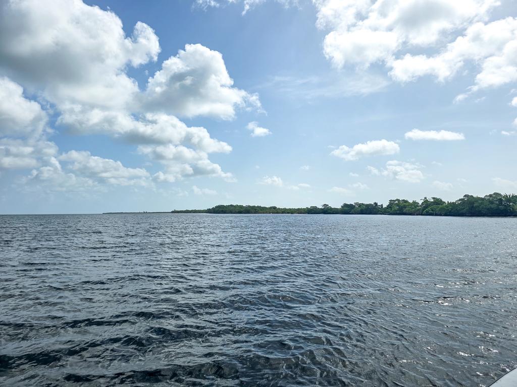 listing image with ID 113826