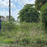 listing image thumbnail with ID 113536