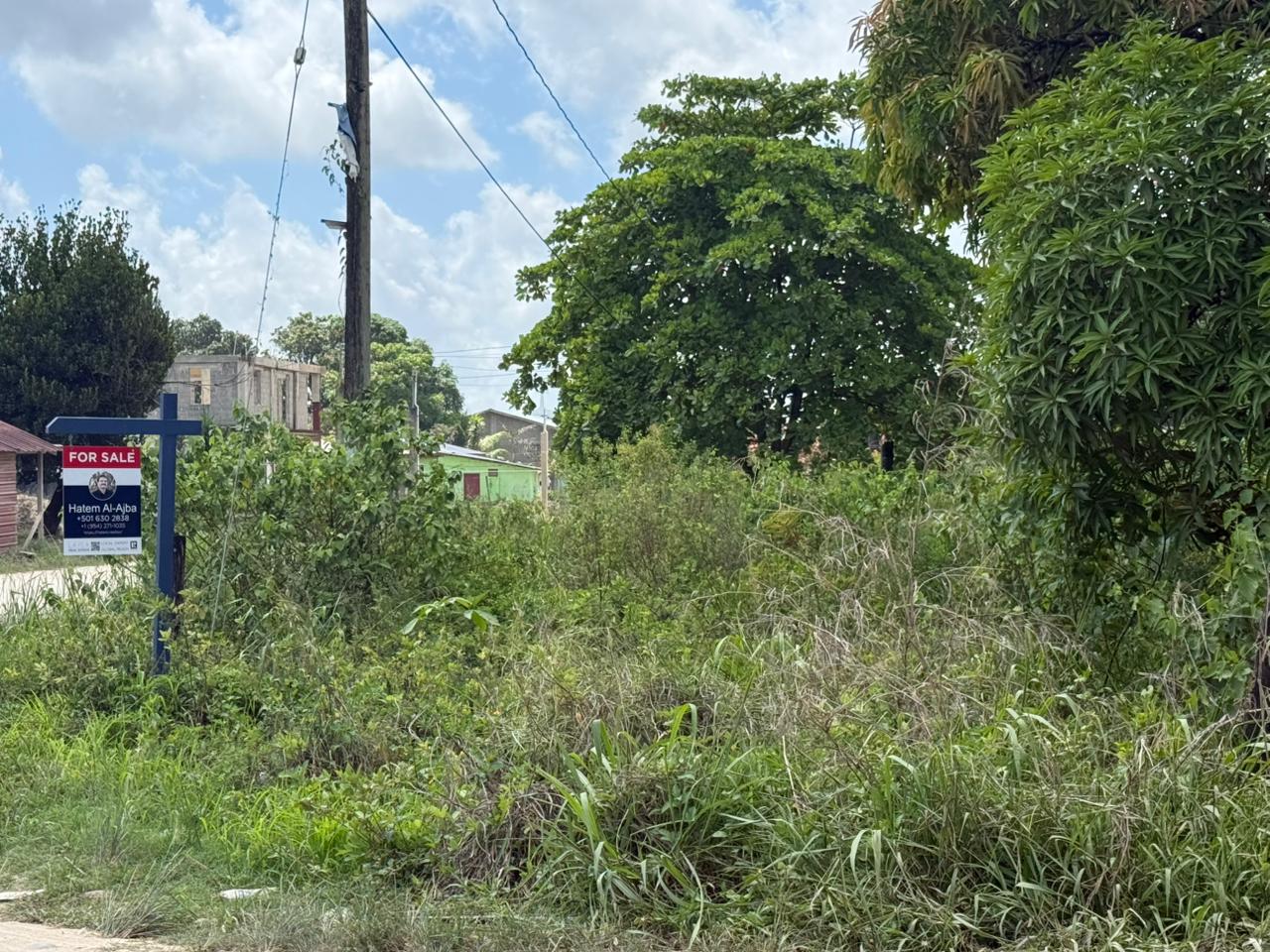 listing image with ID 113536
