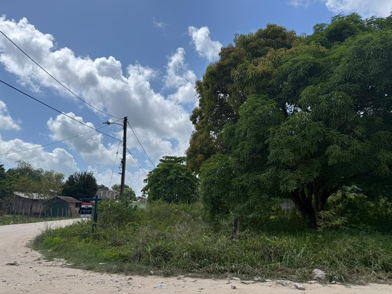 listing image with ID 113535