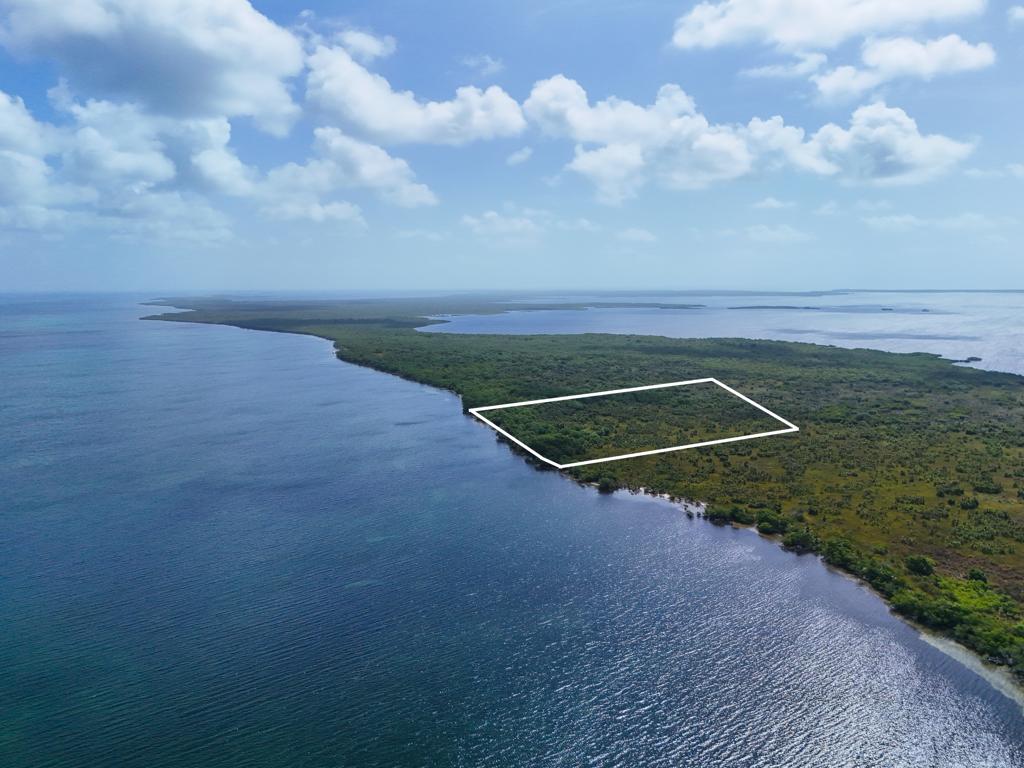listing image with ID 113820