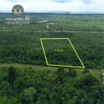 listing image thumbnail with ID 112722