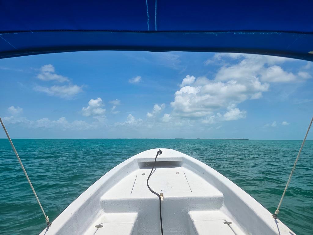 listing image with ID 113825