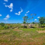 listing image thumbnail with ID 113140