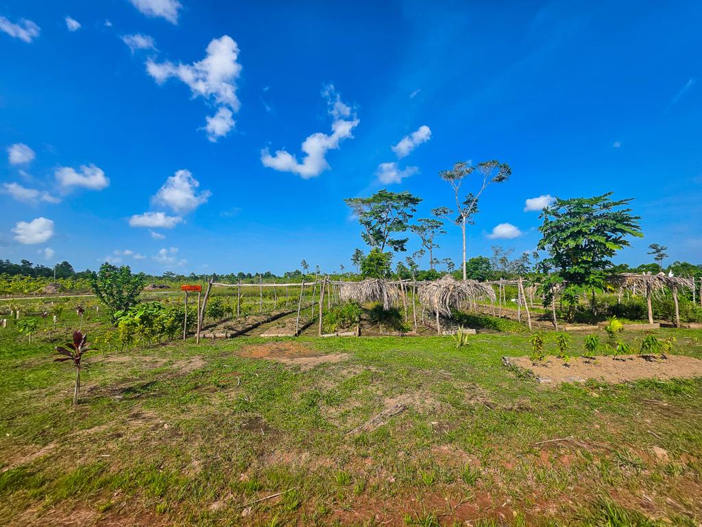 listing image with ID 113140