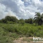 listing image thumbnail with ID 113416