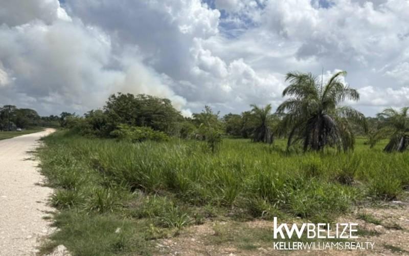 listing image with ID 113416