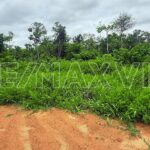 listing image thumbnail with ID 112920