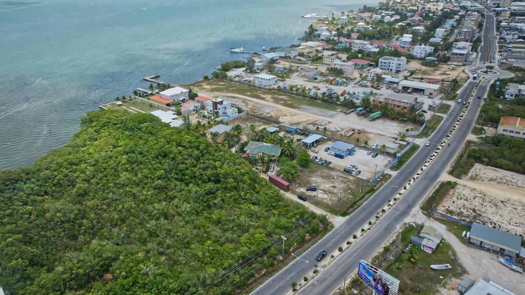listing image with ID 113501