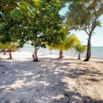 listing image thumbnail with ID 113350