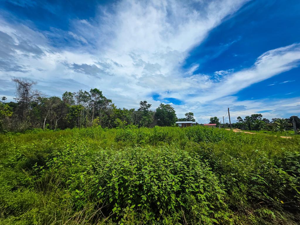 listing image with ID 113062