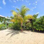 listing image thumbnail with ID 113792