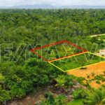 listing image thumbnail with ID 112919