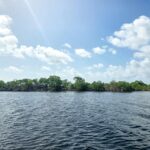 listing image thumbnail with ID 113817