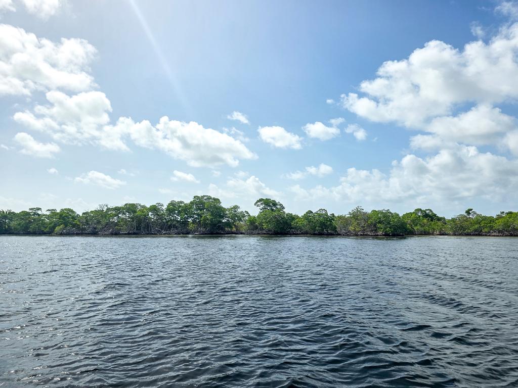 listing image with ID 113817