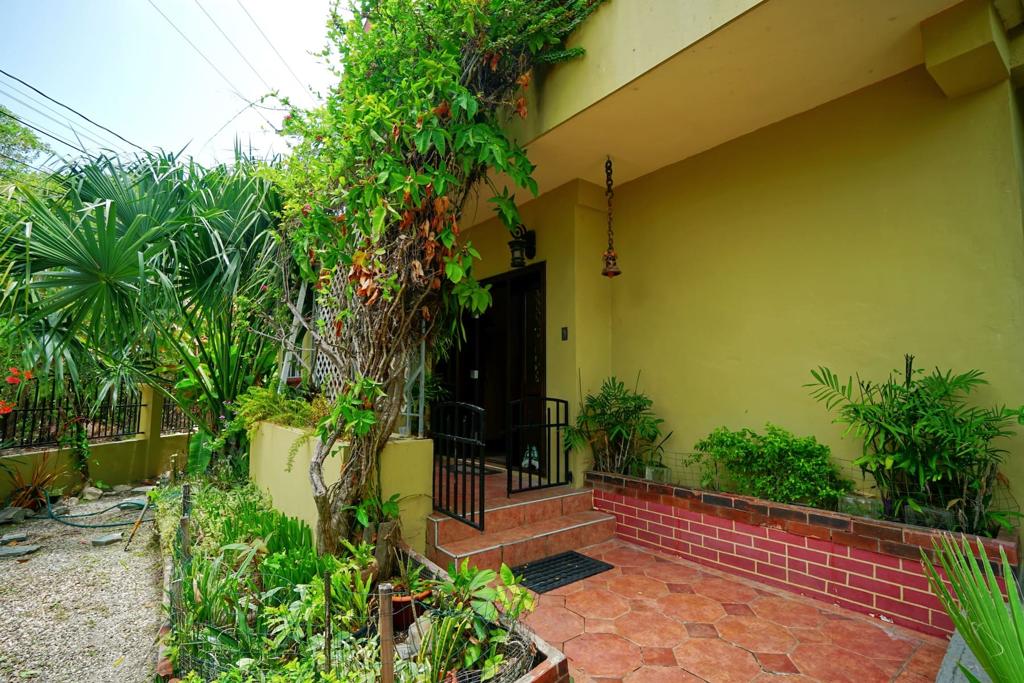 listing image with ID 113492