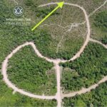 listing image thumbnail with ID 112647