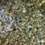 listing image thumbnail with ID 114009