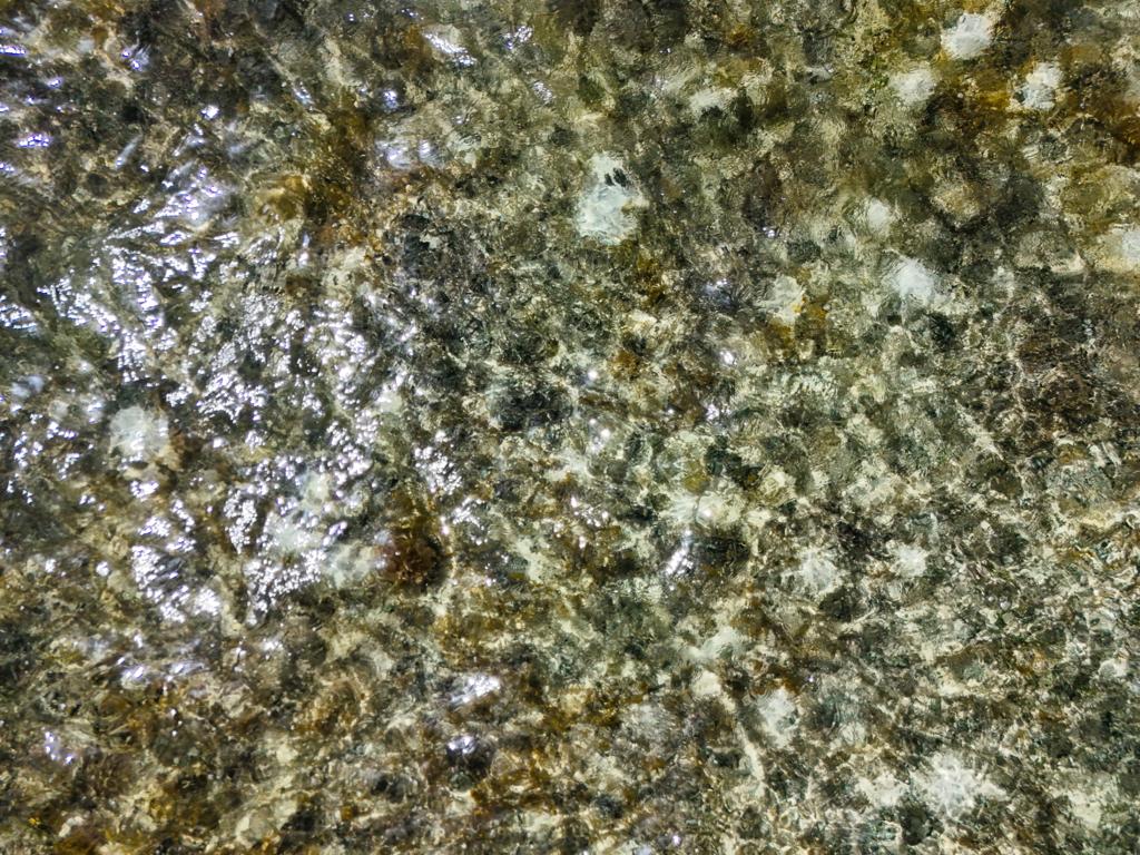 listing image with ID 114009