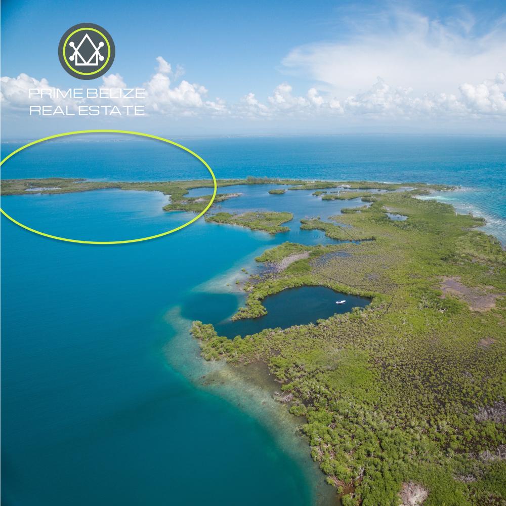 listing image with ID 113694