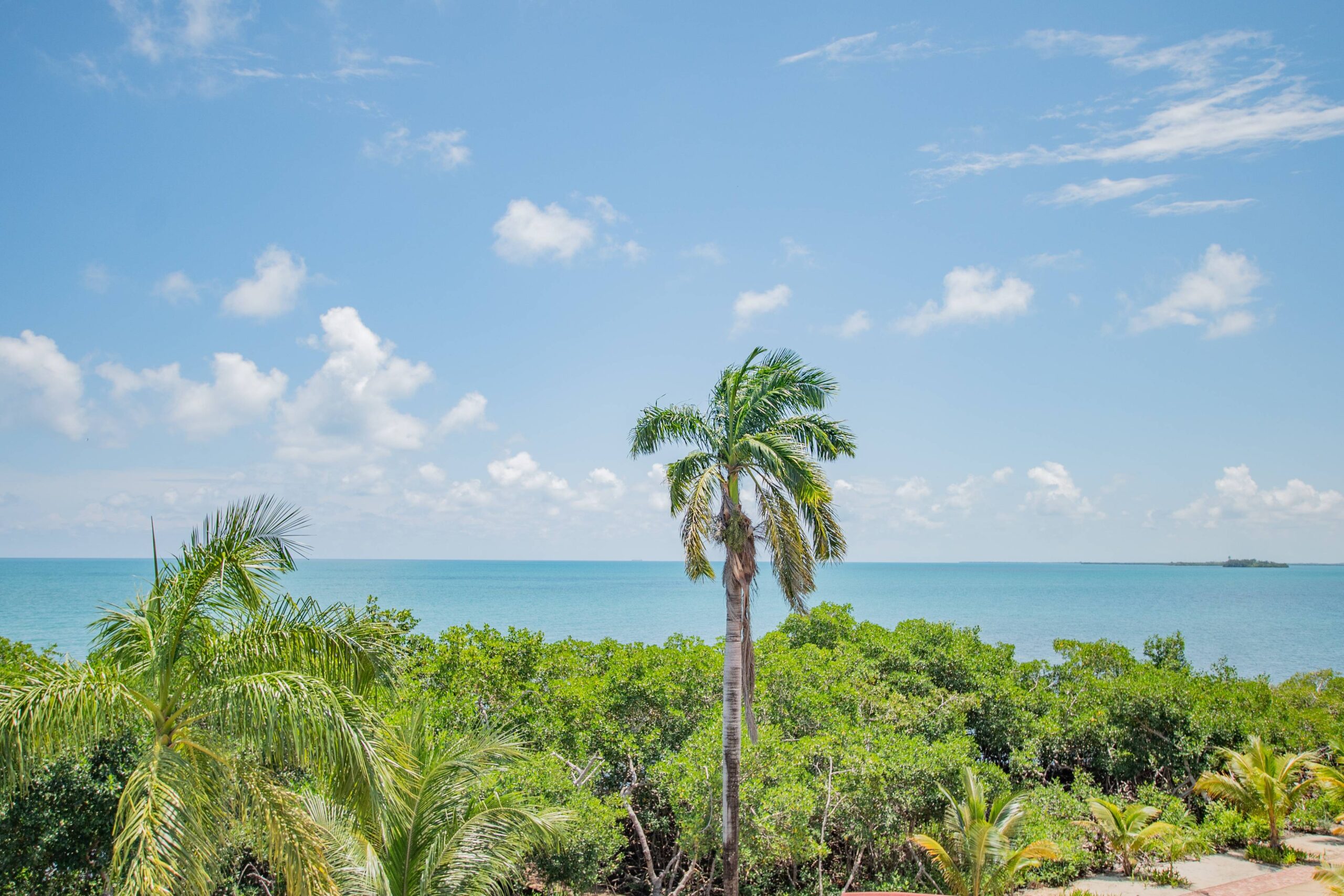 listing image with ID 112831