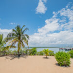 listing image thumbnail with ID 112824