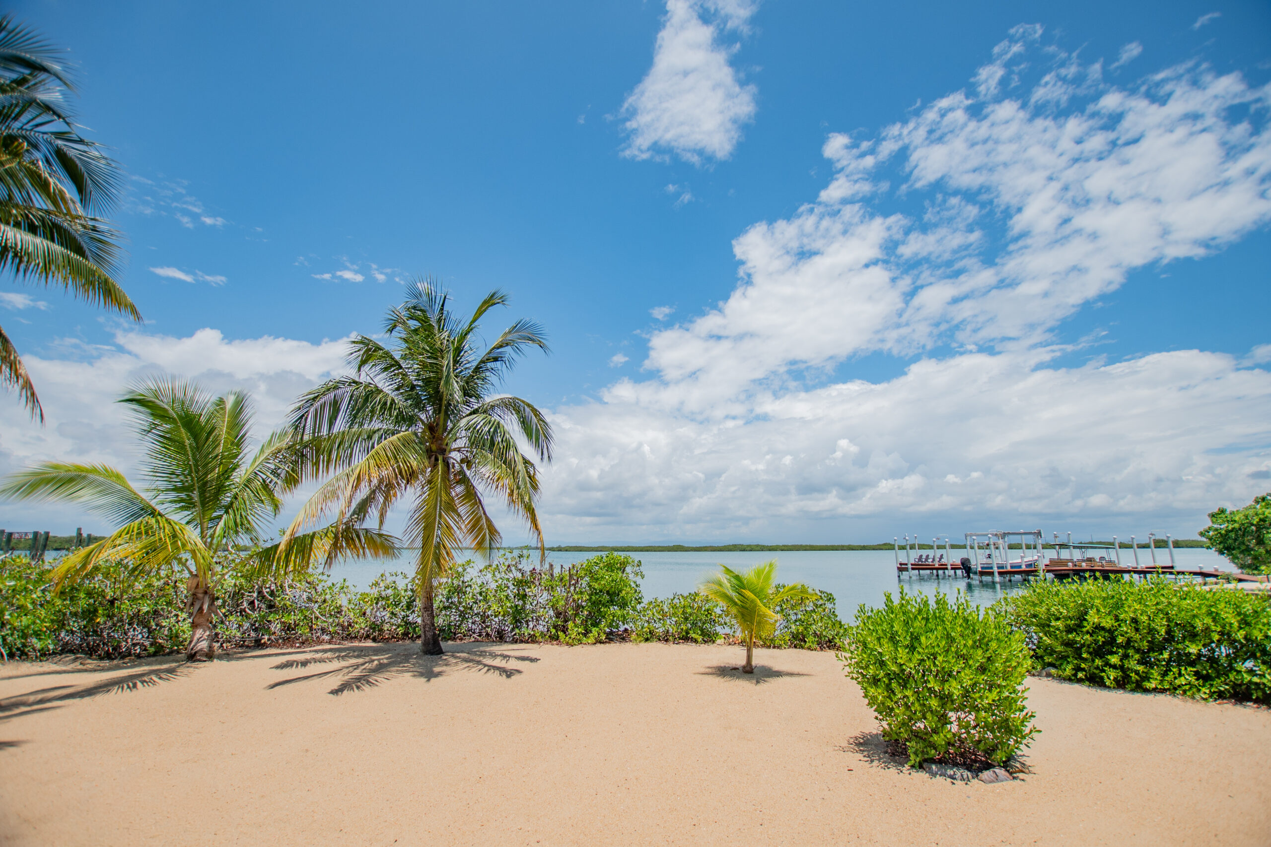 listing image with ID 112824