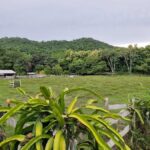 listing image thumbnail with ID 114572