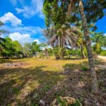 listing image thumbnail with ID 114500