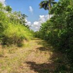 listing image thumbnail with ID 114334
