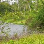 listing image thumbnail with ID 114342