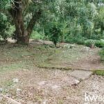listing image thumbnail with ID 114214