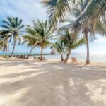 listing image thumbnail with ID 114355